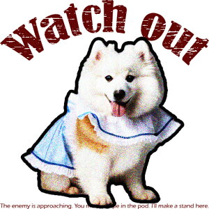 ʔ TGh 킢   NbVJo[ 45×45cm Aj}   NbV{̕t `