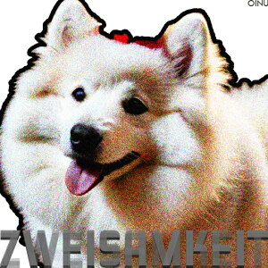 TGh NbVJo[ 45×45cm Aj}   NbV{̕t `