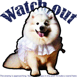 ʔ TGh 킢 D ybg NbVJo[ 45×45cm Aj}   NbV{̕t `