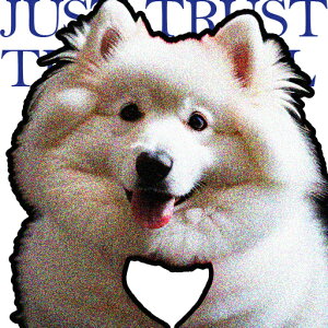 TGh NbVJo[ 45×45cm Aj}   NbV{̕t `