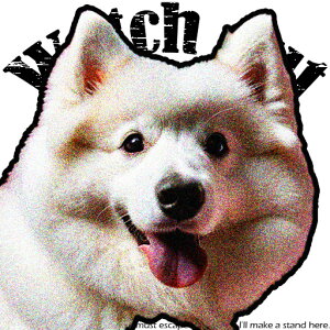 TGh NbVJo[ 45×45cm Aj}   NbV{̕t `