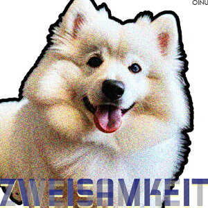 TGh NbVJo[ 45×45cm Aj}   NbV{̕t `