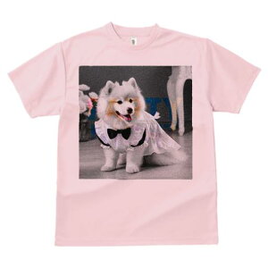 TVc Y LbY t@  t vg JWA 킢 lԗp tBbglX lN^C TGh hX