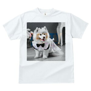 TVc fB[X t@  t vg JWA 킢 lԗp tBbglX lN^C TGh hX