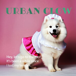 RXv TGh 킢 ʔ hbOEFA NbVJo[ 45×45cm Aj}   NbV{̕t `