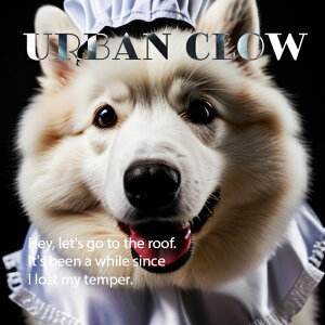 ʔ TGh 킢 N[ NbVJo[ 45×45cm Aj}   NbV{̕t `