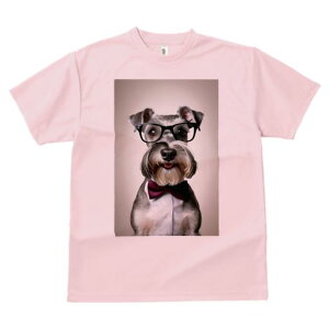 TVc Y LbY t@  t vg JWA 킢 lԗp tBbglX Kl ~j`AViEU[ lN^C Vc