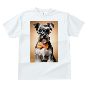 TVc Y LbY t@  t vg JWA 킢 lԗp tBbglX Kl ~j`AViEU[ lN^C