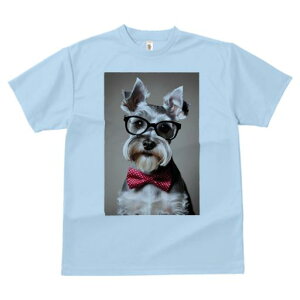 TVc Y LbY t@  t vg JWA 킢 lԗp tBbglX Kl ~j`AViEU[ lN^C