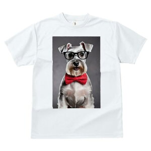 TVc Y LbY t@  t vg JWA 킢 lԗp tBbglX Kl ~j`AViEU[ lN^C