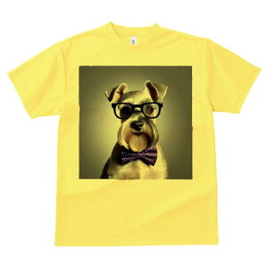 TVc Y LbY t@  t vg JWA 킢 lԗp tBbglX Kl ~j`AViEU[ lN^C