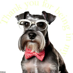 Kl ~j`AViEU[ lN^C NbVJo[ 45×45cm Aj}   NbV{̕t `