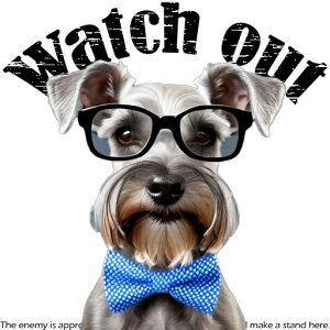 Kl ~j`AViEU[ lN^C NbVJo[ 45×45cm Aj}   NbV{̕t `