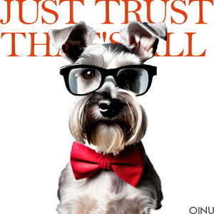 Kl ~j`AViEU[ lN^C NbVJo[ 45×45cm Aj}   NbV{̕t `