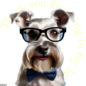 Kl ~j`AViEU[ lN^C NbVJo[ 45×45cm Aj}   NbV{̕t `