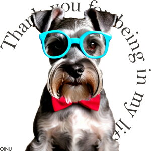 Kl ~j`AViEU[ lN^C NbVJo[ 45×45cm Aj}   NbV{̕t `