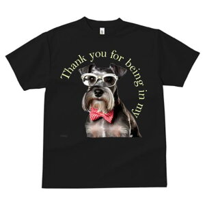 TVc Y LbY t@  t vg JWA 킢 lԗp tBbglX Kl ~j`AViEU[ lN^C