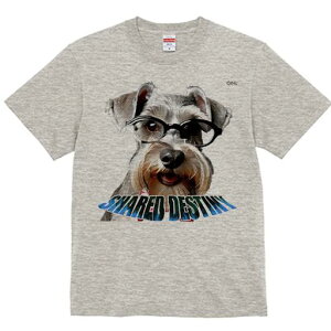 TVc Y LbY t@  t vg JWA 킢 lԗp tBbglX Kl ~j`AViEU[