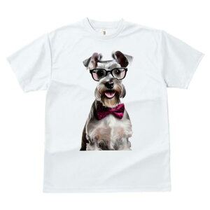 TVc Y LbY t@  t vg JWA 킢 lԗp tBbglX Kl ~j`AViEU[ lN^C