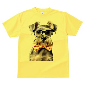 TVc Y LbY t@  t vg JWA 킢 lԗp tBbglX Kl ~j`AViEU[ lN^C hbg