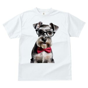 TVc Y LbY t@  t vg JWA 킢 lԗp tBbglX Kl ~j`AViEU[ lN^C