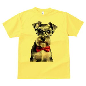 TVc Y LbY t@  t vg JWA 킢 lԗp tBbglX Kl ~j`AViEU[ lN^C