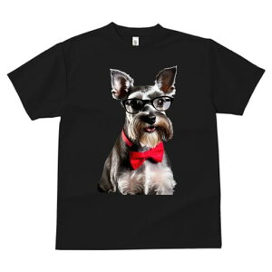 TVc Y LbY t@  t vg JWA 킢 lԗp tBbglX Kl ~j`AViEU[ lN^C 