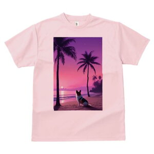 TVc Y LbY t@  t vg JWA 킢 lԗp tBbglX V̖ R[M[ r[` [Ă C