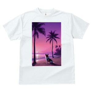 TVc Y LbY t@  t vg JWA 킢 lԗp tBbglX V̖ R[M[ r[` [Ă C