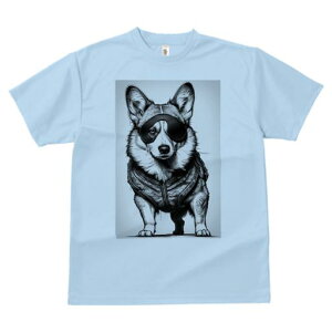 TVc Y LbY t@  t vg JWA 킢 lԗp tBbglX xXg R[M[ AC}XN