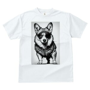 TVc fB[X t@  t vg JWA 킢 lԗp tBbglX xXg R[M[ AC}XN