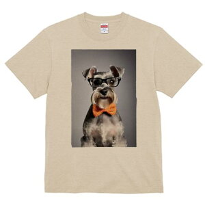 TVc Y LbY t@  t vg JWA 킢 lԗp tBbglX Kl ~j`AViEU[ lN^C