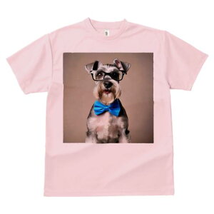 TVc Y LbY t@  t vg JWA 킢 lԗp tBbglX Kl ~j`AViEU[ lN^C