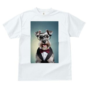 TVc Y LbY t@  t vg JWA 킢 lԗp tBbglX Kl ~j`AViEU[ lN^C ^LV[h