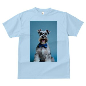 TVc Y LbY t@  t vg JWA 킢 lԗp tBbglX Kl ~j`AViEU[ lN^C