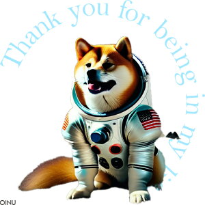 F Č AJ NbVJo[ 45×45cm Aj}   NbV{̕t `