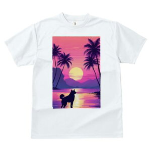 TVc fB[X t@  t vg JWA 킢 lԗp h I [Ă Hc r[` V̖ C