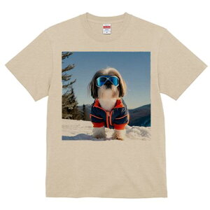 TVc Y LbY t@  t vg JWA 킢 lԗp h I  V[Y[ XL[EFA XL[S[O ~