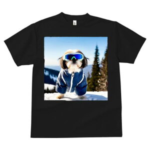 TVc fB[X t@  t vg JWA 킢 lԗp h I XL[EFA V[Y[ XL[S[O R