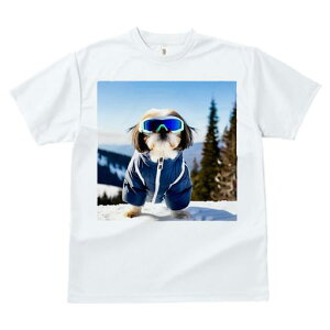 TVc fB[X t@  t vg JWA 킢 lԗp h I XL[EFA V[Y[ XL[S[O R