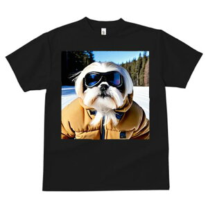 TVc fB[X t@  t vg JWA 킢 lԗp h I XL[EFA V[Y[ XL[S[O R