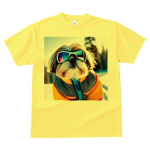 TVc Y LbY t@  t vg JWA 킢 lԗp h I XL[EFA V[Y[ S[O 