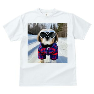 TVc fB[X t@  t vg JWA 킢 lԗp h I  V[Y[ ~ XL[EFA XL[S[O