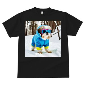 TVc fB[X t@  t vg JWA 킢 lԗp h I  V[Y[ ~ XL[EFA S[O