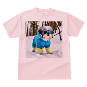 TVc Y LbY t@  t vg JWA 킢 lԗp h I  V[Y[ ~ XL[EFA S[O