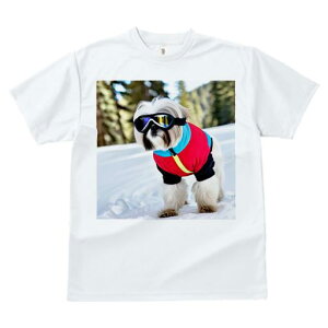 TVc fB[X t@  t vg JWA 킢 lԗp h I  V[Y[ XL[EFA S[O