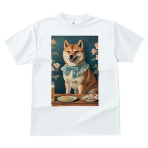 ag pfB TVc Y LbY t@  t vg JWA 킢 lԗp h I  Č r[ Hו e[u