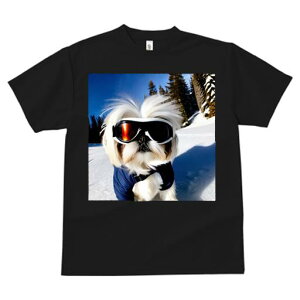 TVc fB[X t@  t vg JWA 킢 lԗp h I XL[ V[Y[  ~ XL[EFA