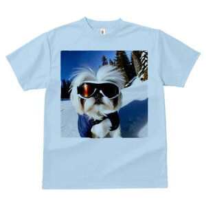 TVc Y LbY t@  t vg JWA 킢 lԗp h I XL[ V[Y[  ~ XL[EFA