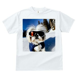 TVc Y LbY t@  t vg JWA 킢 lԗp h I XL[ V[Y[  ~ XL[EFA